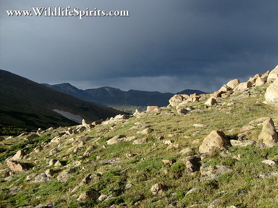 Click Picture to send as an  E-PostCard 64k 550x412